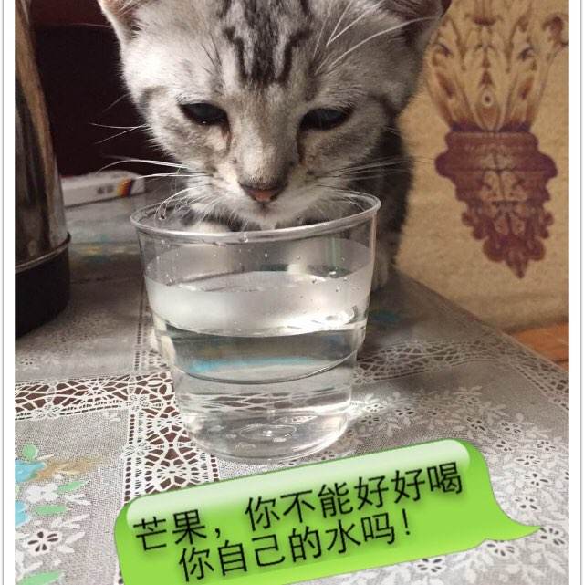 一九九九年湖南高中毕业证样证